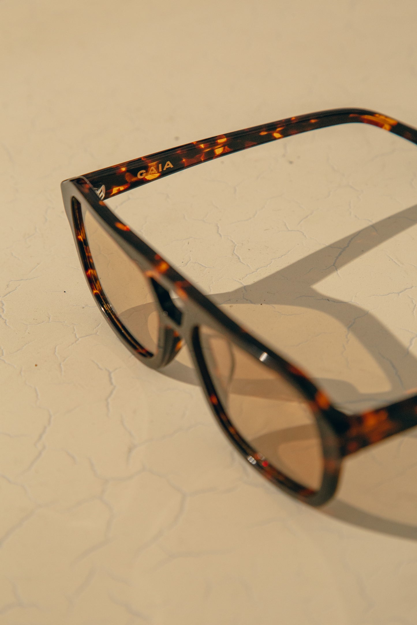 XL Shades
